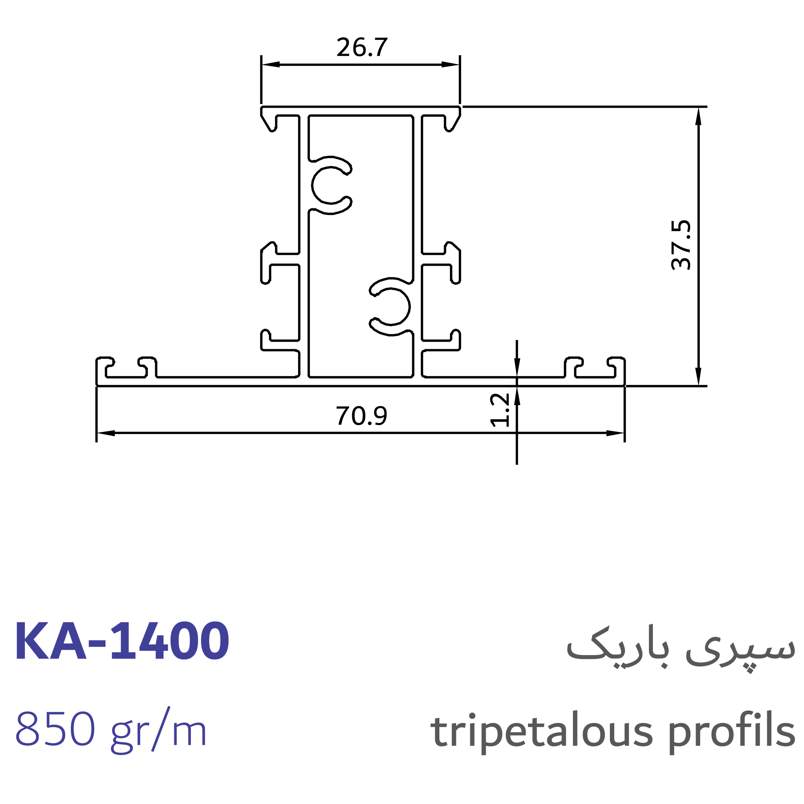 3- tripetalous profils-01
